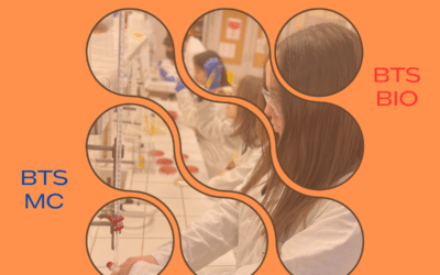 Visite de l’école – dernière chance avant la clôture de Parcoursup : mardi 10 mars à 18h00