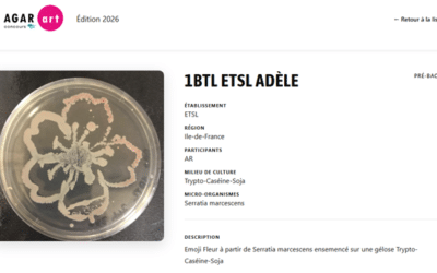Concours #AgarArt